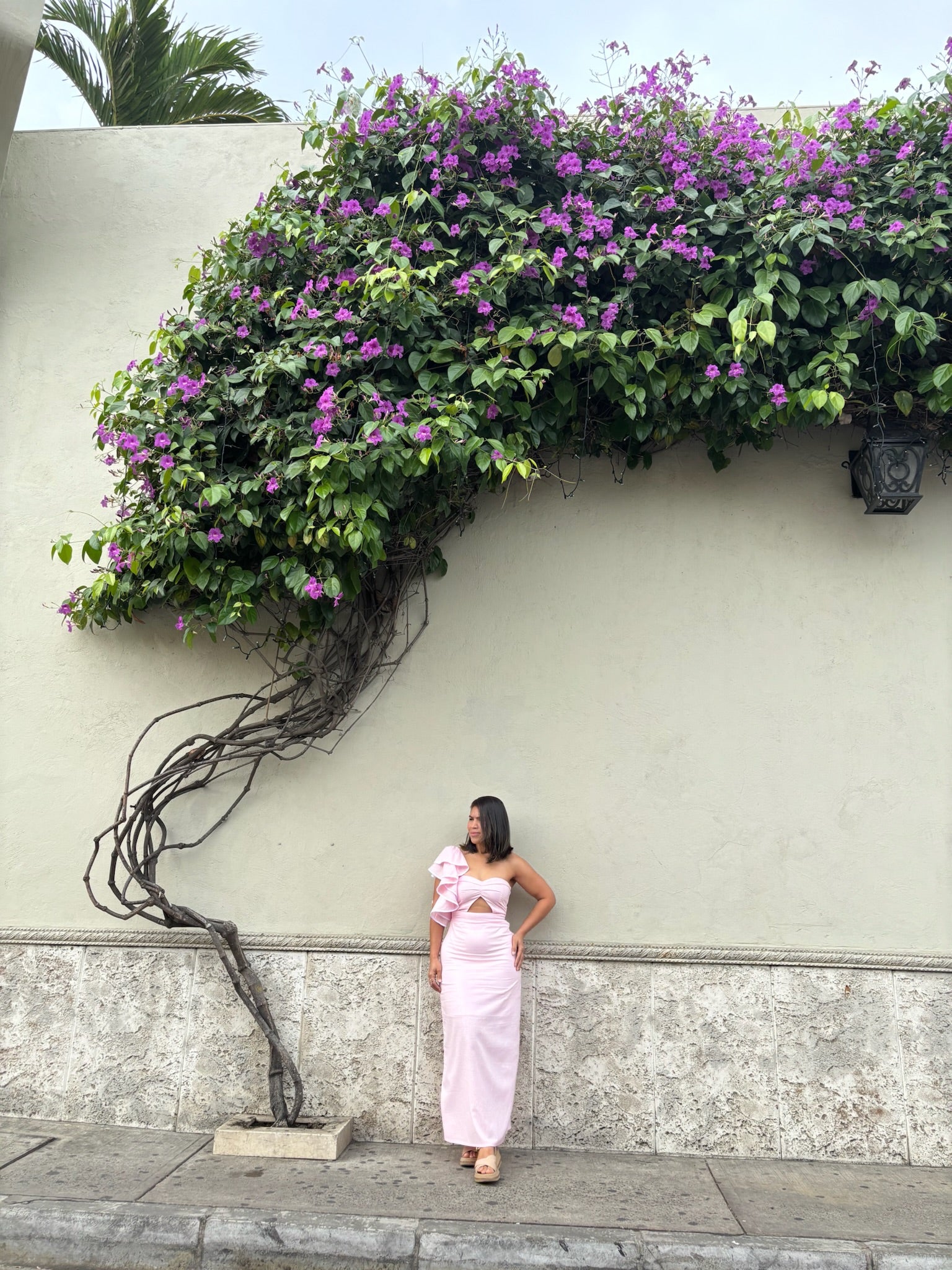 Vestido Absolut
